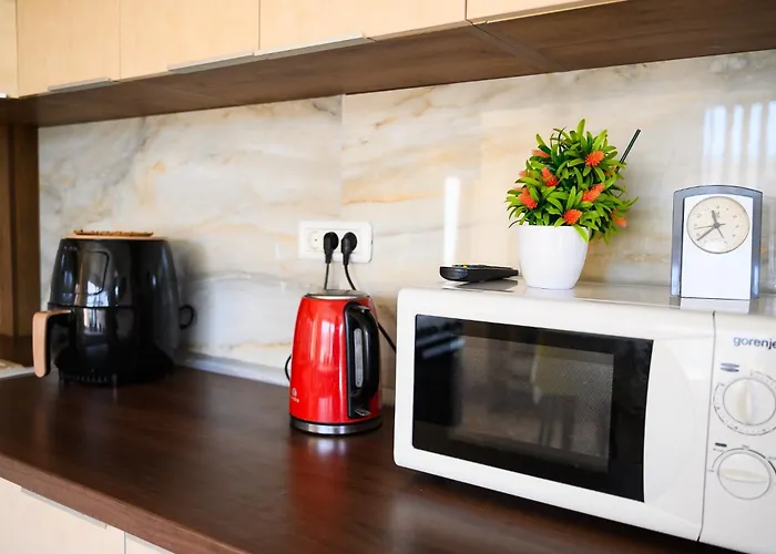 Pensiunea Beta Mamaia Nord Guest house